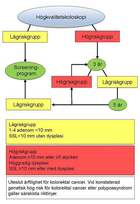 koloskopi komplikationer