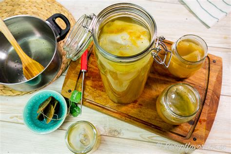 kombucha grundrecept