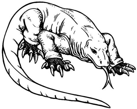 Komodo Dragon Coloring Page Coloring Nation Komodo Dragon Coloring Pages - Komodo Dragon Coloring Pages