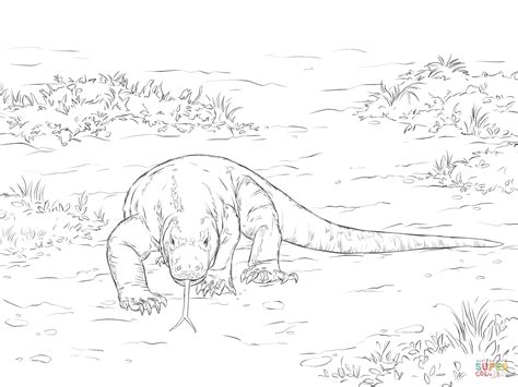 Komodo Dragon Coloring Pages Coloring Cool Komodo Dragon Coloring Pages - Komodo Dragon Coloring Pages