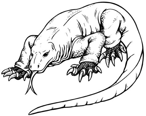 Komodo Dragon Coloring Pages Coloring Cool Komodo Dragon Coloring Pages - Komodo Dragon Coloring Pages