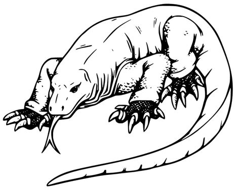 Komodo Dragon Coloring Pages Free Amp Printable Komodo Dragon Coloring Pages - Komodo Dragon Coloring Pages
