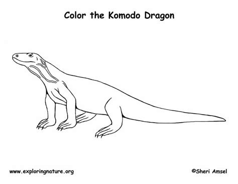 Komodo Dragon Coloring Pages Seacoloring Komodo Dragon Coloring Pages - Komodo Dragon Coloring Pages