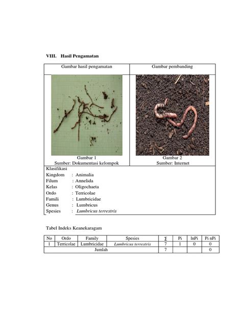 kompos cacing tanah pdf