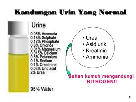 komposisi urine
