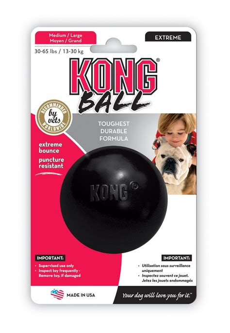 kong boll hund