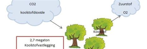 koolstofdioxide opname