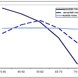 korttidsminne exempel