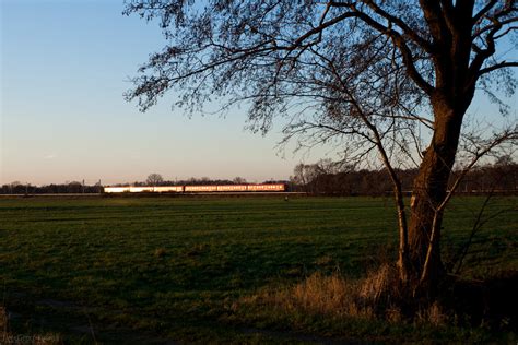 kottmeierstrasse buxtehude biography