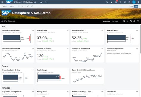 Full Download Kpi Dashboards For Sap Every Angle 