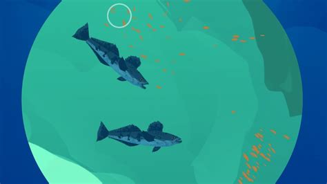 Krill Smackdown