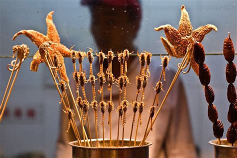 krioelende definitie