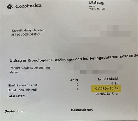 kronofogden utdrag