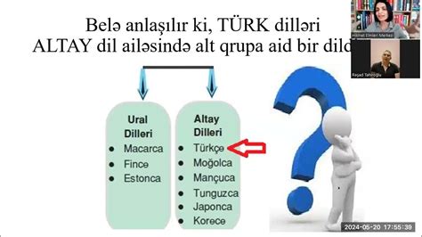 Kürtçe Hangi Dil Ailesinde