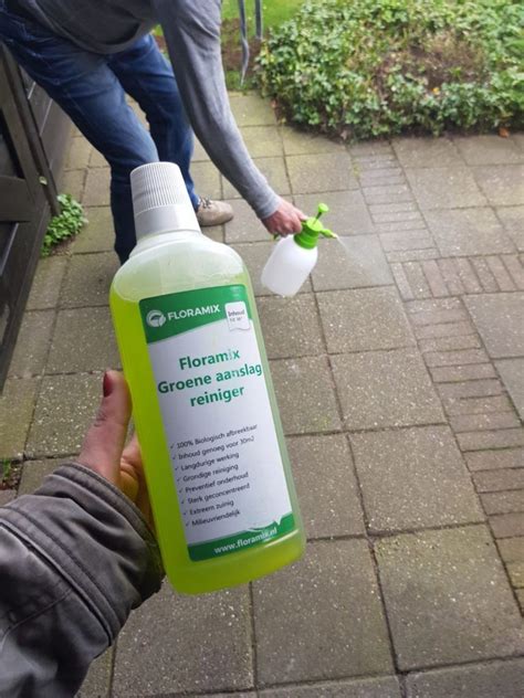 kruidvat groene aanslag verwijderen