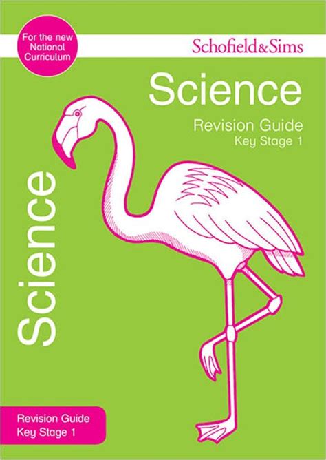Ks1 Ages 5 7 Science The Five Senses 5 Senses Science - 5 Senses Science