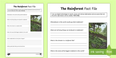 Ks1 Animals In Rainforests Fact File Worksheets Twinkl Ranforest Animals Worksheet Kindergarten - Ranforest Animals Worksheet Kindergarten
