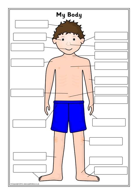 Ks1 Human Body Parts Labeling Activity Teaching Resources Label Body Parts Ks1 - Label Body Parts Ks1