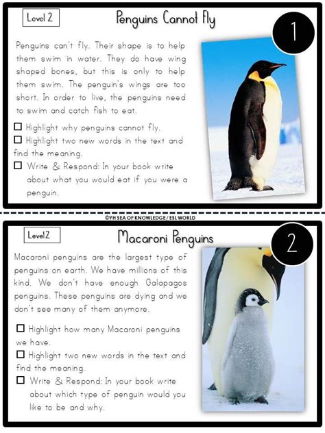 Ks1 Penguin Fact File Non Fiction Writing Frames Non Fiction Writing Frames - Non Fiction Writing Frames