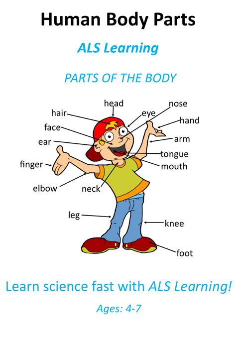Ks1 Science Teaching Resources Labelling Body Parts Ks1 - Labelling Body Parts Ks1