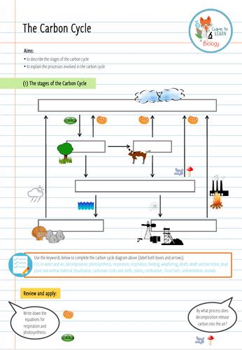 Ks3 Carbon Cycle Homework Worksheet Teacher Made Twinkl Carbon Cycle Activity Worksheet - Carbon Cycle Activity Worksheet