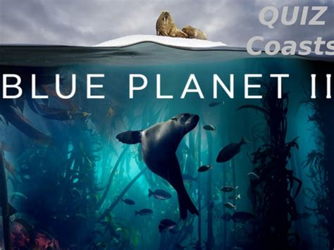 Ks3 Ks4 Blue Planet 2 Quiz Coasts Teaching Blue Planet Coasts Worksheet Answers - Blue Planet Coasts Worksheet Answers