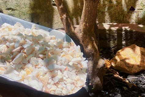 ktt-90a | Nng cao Sex v hiu th no