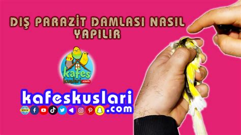 genssuffweb.rgarabwor.edu.pl. 