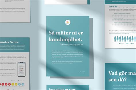 kundnöjdhet synonym