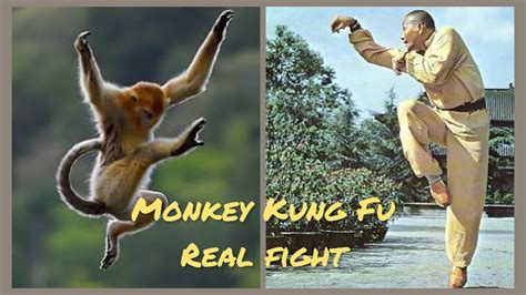 Kung Fu Monkey Style
