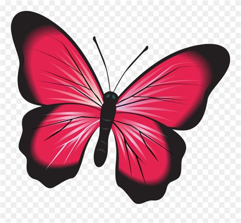 kupu kupu warna merah