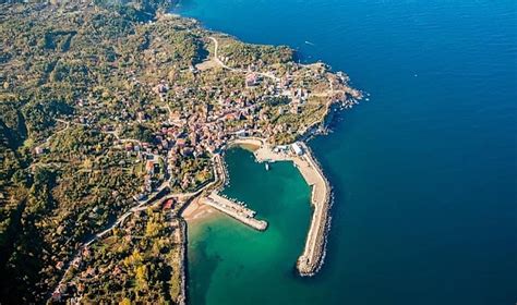 codini.rgarabwor.edu.pl. 