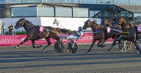 kvallopp solvalla idag