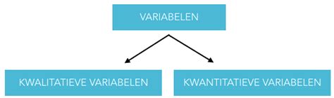 kwantitatieve variabele