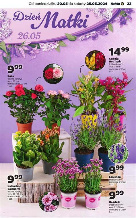 kwiaty w netto