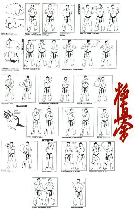 Kyokushin Karate Techniques