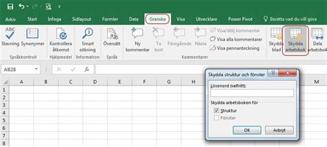 lås arbetsbok excel