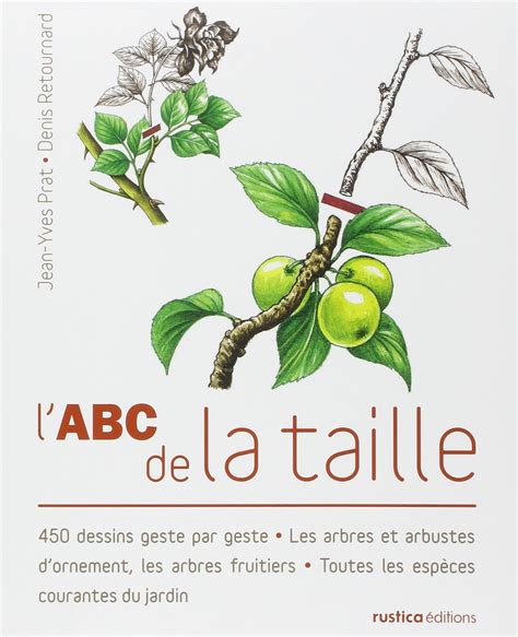 L Abc De La Taille Geste Par Geste