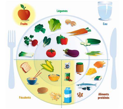 l alimentation de ba c ba c pour les nuls poche