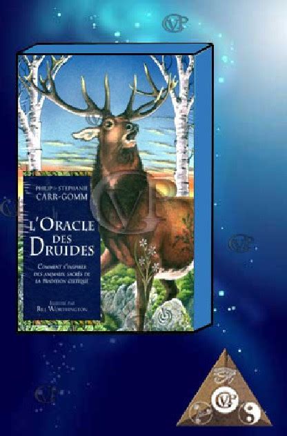 l oracle des druides comment s inspirer des anima