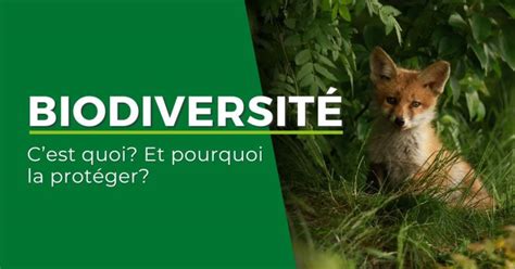La Biodiversit