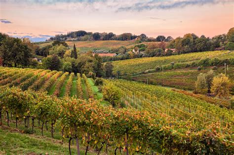 La Campagna
