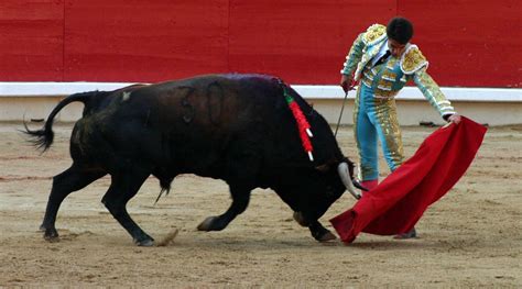 la corrida spanish edition