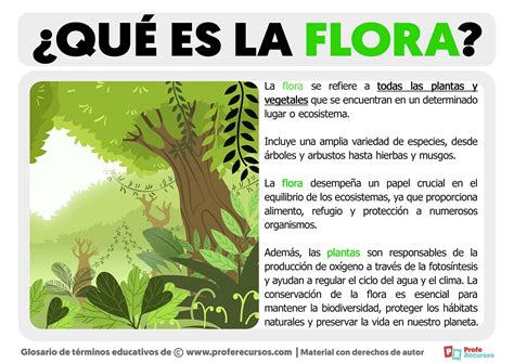 la flora