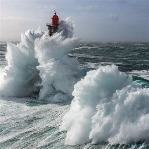la jument