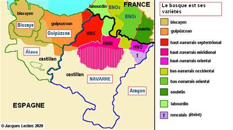la langue basque au moyen age ixe xve sia cles