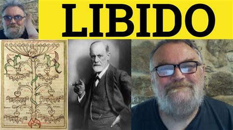 la libido significato