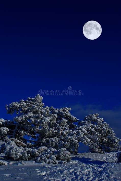 La Luce Della Notte