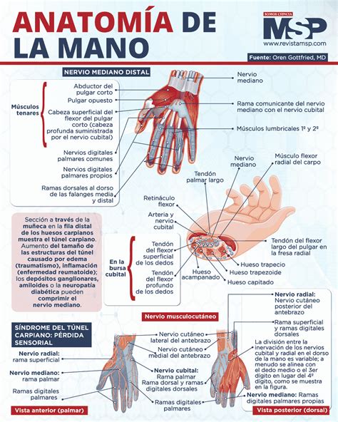 La Mano