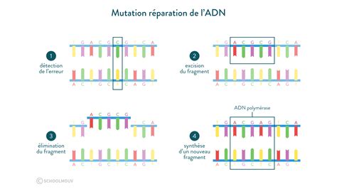 La Mutation De L A C Ducation Et De La Culture Ma